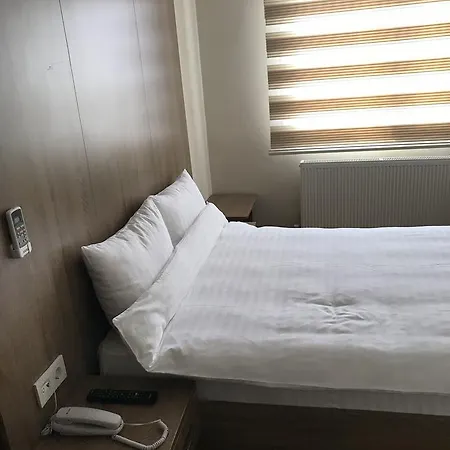 Ny World Hotell